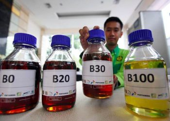 Mandatori Biodiesel Perlu Dilanjutkan di Indonesia?